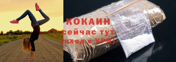соль ск Вяземский