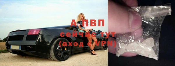 мяу мяу мука Вязьма