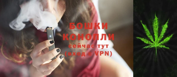 мяу мяу мука Вязьма
