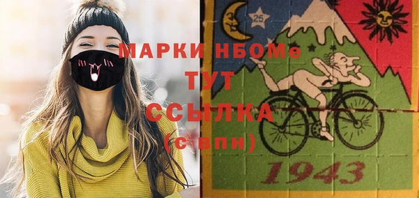 соль ск Вяземский