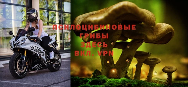 соль ск Вяземский