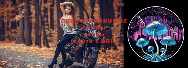 эйфоретик Вязники