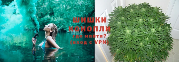соль ск Вяземский