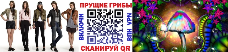 Купить где  Кинель  Галлюциногенные грибы Psilocybine cubensis 